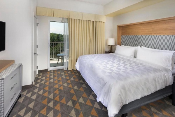 Holiday Inn & Suites Arden-Asheville Airport image 14